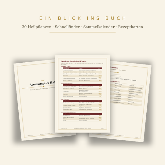 Die vergessene Hausapotheke unserer Vorfahren I E-Book