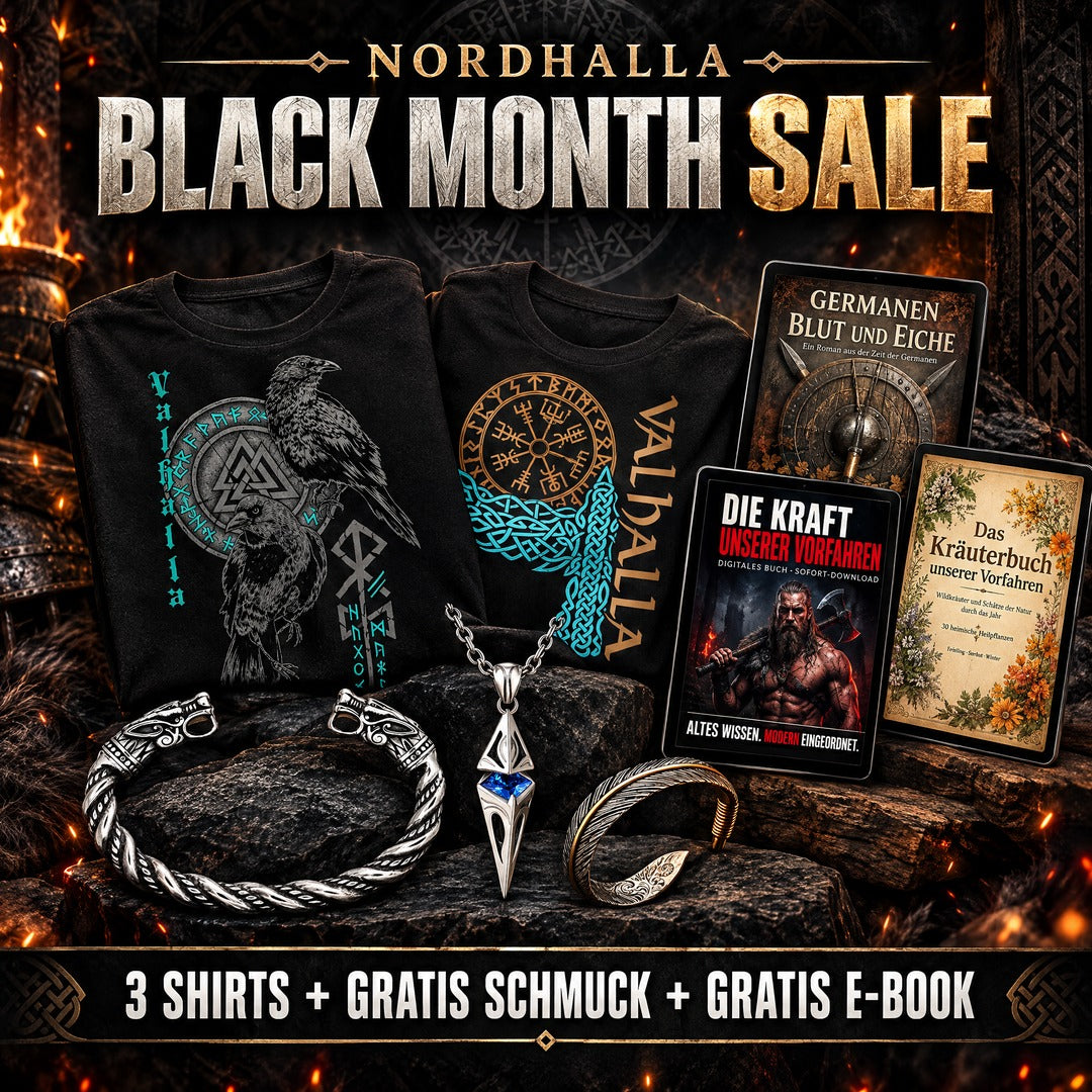 Viking Bundle – 3 Shirts mit gratis Schmuck und gratis E-Book im Black Month Sale